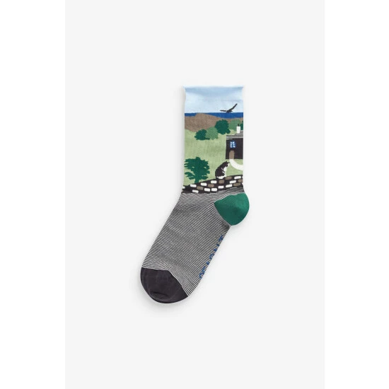 Seasalt Cornwall Green Postcard Socks Gift Box 4 Seasalt Cornwall Green Postcard Socks Gift Box - Image 4
